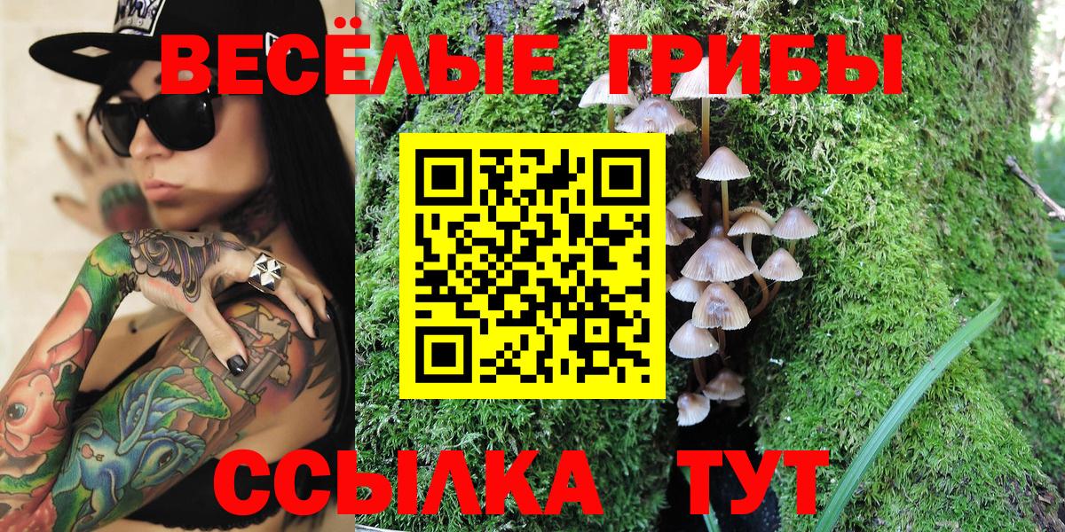 Псилоцибиновые грибы прущие грибы  Галлюциногенные грибы мухоморы  Вход с VPN  Ялуторовск 